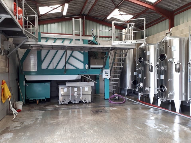 Champagne PAILLETTE - 