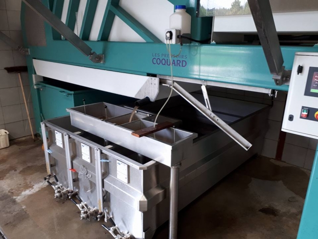 Champagne PAILLETTE - 